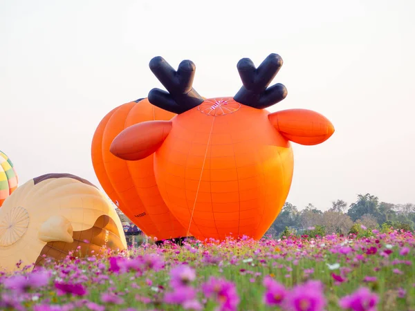Chiangrai Thailand Febuary 2020 Singha Park Chiangrai International Valentine Balloon — Stock Photo, Image