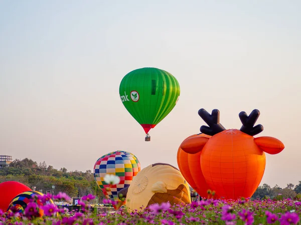 Chiangrai Thailand Febuary 2020 Singha Park Chiangrai International Valentine Balloon Stock Fotografie