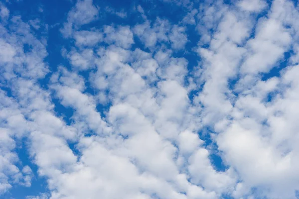 Paisagem Nublada Com Nuvens Altocumulus Nuvem Altitude Média Altocumulus Estratocumuliforme — Fotografia de Stock