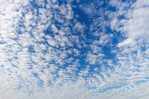 Wolkenlandschaft Mit Altocumulus Wolken Altocumulus Wolke Mittlerer Höhe Stratocumuliform Natürlicher Stockbild