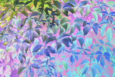 Yaprakların dokusu mavi, pembe, mavi, yeşil. Sanat resmi