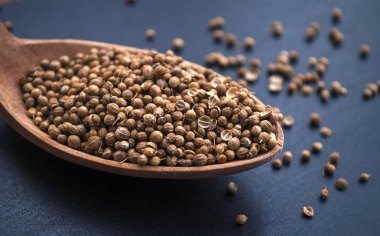 Ahşap kaşıkta kişniş tohumları. Masaya saçılmış koyu mavi bir arka planda. Yan görünüm