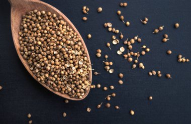 Koyu mavi arka planda, ahşap kaşıkta kişniş tohumları masaya saçılmış..