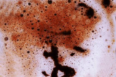 Sütlü kahve köpüğü. Doku