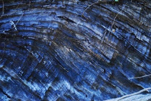 Texture Bois Raffiné Avec Une Teinte Bleue Arbre Abattu Bois — Photo