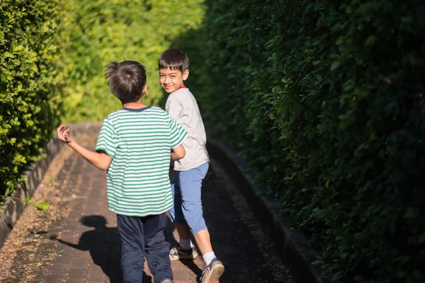 Lilla syskon pojke promenader tillsammans i grön offentlig park — Stockfoto