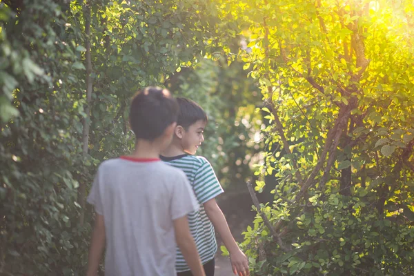 Маленький брат и сестра, гуляющие вместе в зеленом общественном парке — стоковое фото