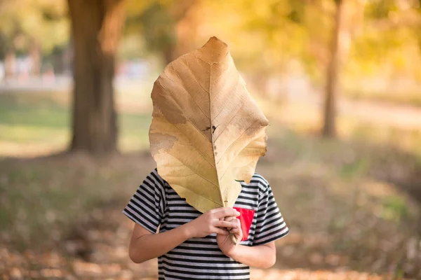 Little boy playing with big leave in the park outdoor summer time — Stock Photo, Image