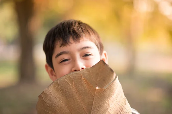 Little boy playing with big leave in the park outdoor summer time — Stock Photo, Image