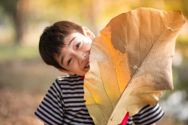 Petit garçon jouant avec un grand congé dans le parc en plein air heure d'été — Photo