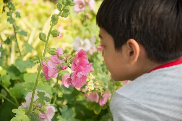 Menino cheirando flor no parque — Fotografia de Stock