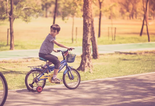 Menino pequeno andando de bicicleta juntos no parque — Fotografia de Stock