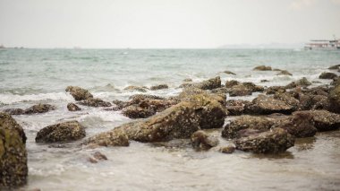 Mutlu saat ile sahilde seyahat aile