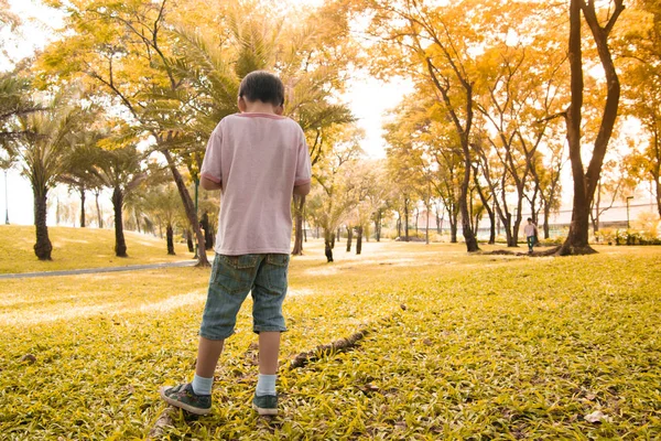 Liten Pojke Som Leker Parken — Stockfoto