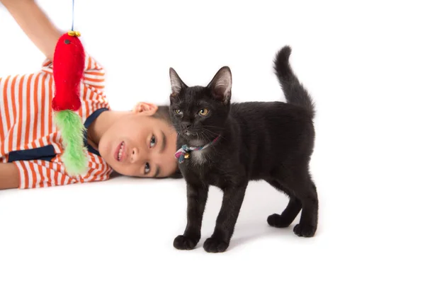 Little boy playing with black kitten cat — Stock Photo, Image