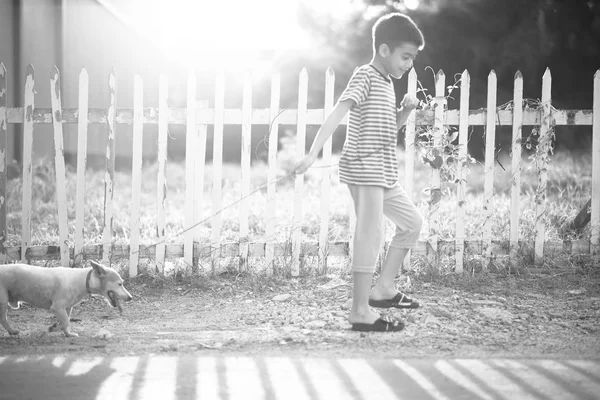 Kleiner Junge geht mit Hund Jack im Sommer draußen spazieren — Stockfoto