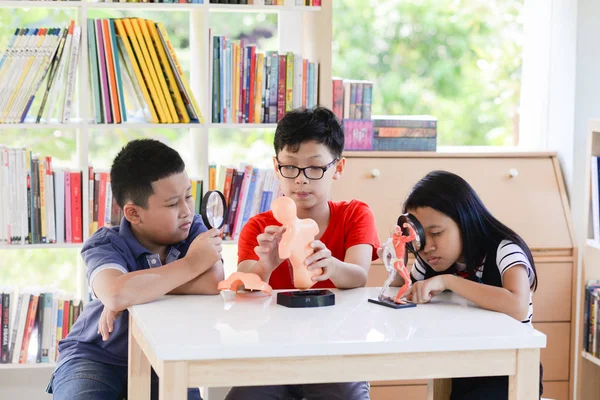 Asian Students and teach study biology scicence in the outdoor classroom