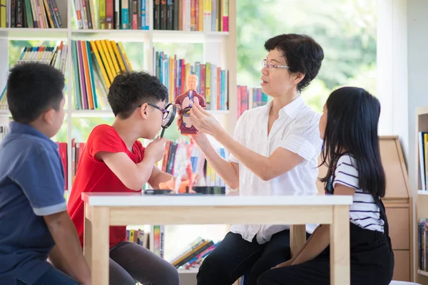 Asian Students Teach Study Biology Scicence Outdoor Classroom — Stock Photo, Image