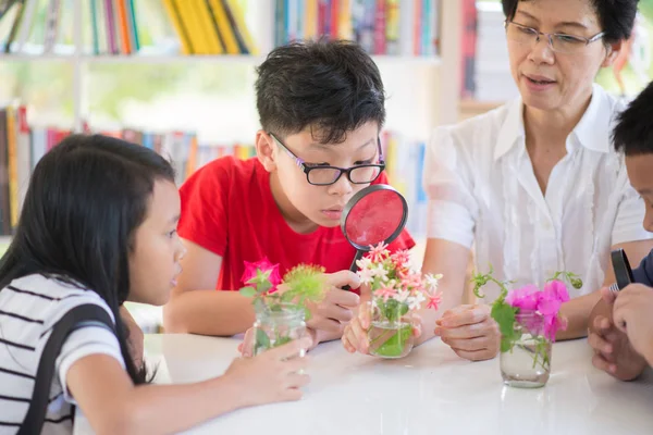 Asian Students and teach study biology scicence in the outdoor classroom