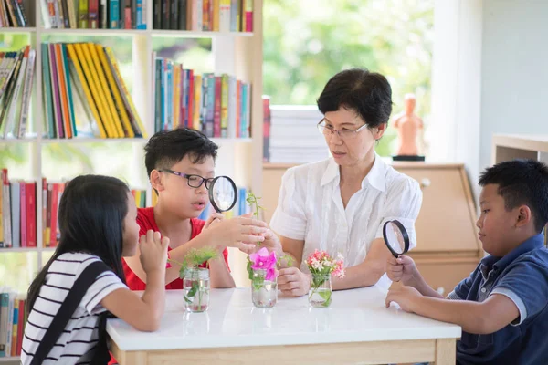 Asian Students and teach study biology scicence in the outdoor classroom