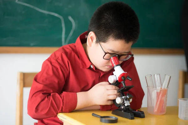 Kleine Schüler Lernen Naturwissenschaften Klassenzimmer — Stockfoto