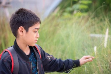Little young boy picking grass flower in the field 