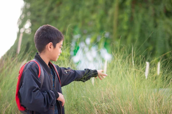 畑で草の花を摘む少年 — ストック写真