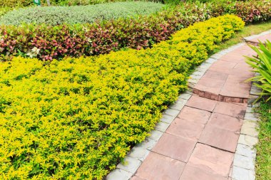 Süs bitkileri ile Foothpath