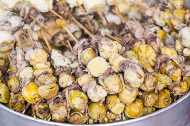 Gelişmemiş embriyo gemi içinde buhar içeren yumurta