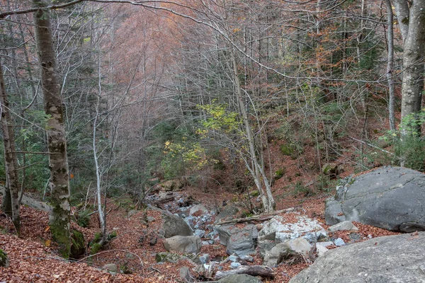 Fiume Che Scende Dal Fianco Una Montagna Autunno — Foto Stock