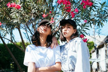 Yazın en iyi arkadaşı, açık mavi gökyüzünün altında, kırmızı çiçekli ağaç..