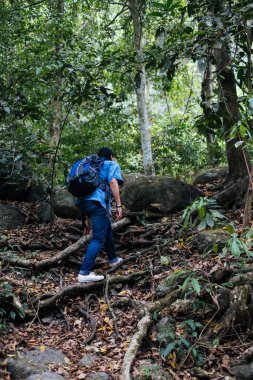 Ormanda yürüyüş yapan bir adam.