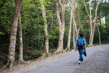 Ağacın tepesine bakan bir adam.