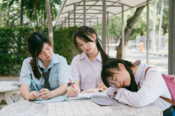 Dwóch Studentów Uczy Się Podczas Snu — Zdjęcie stockowe