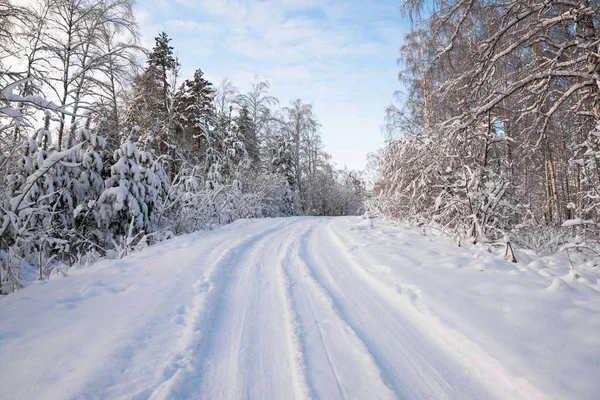 Paisagem de inverno. Estrada florestal entre árvores cobertas de neve branca fresca. A impressão das rodas na neve . — Fotografia de Stock