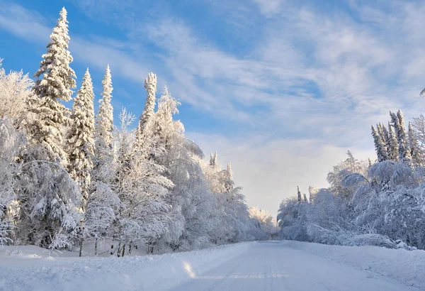 Paisagem de inverno. A estrada através de uma floresta branca nevada. Ao longo das bordas de abeto e vidoeiro coberto de neve. A Rússia. Sibéria . — Fotografia de Stock