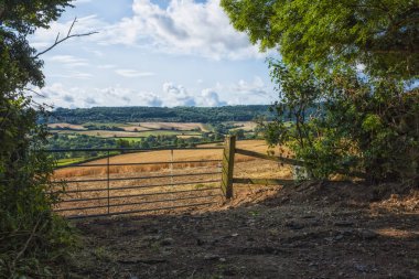 Adil eski görünümü