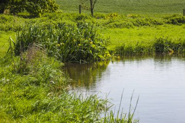 Su alanı içinde kopya alanı ile bir su birikintisi bir pastoral sahne. Kendisini daha kırsal için edebiyat ve takipçiliği, çevre ile ilgili ve gerçekten de balıkçılık ödünç.