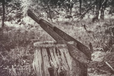 Bir ağaç kütüğü içinde iki pala bıçaklar