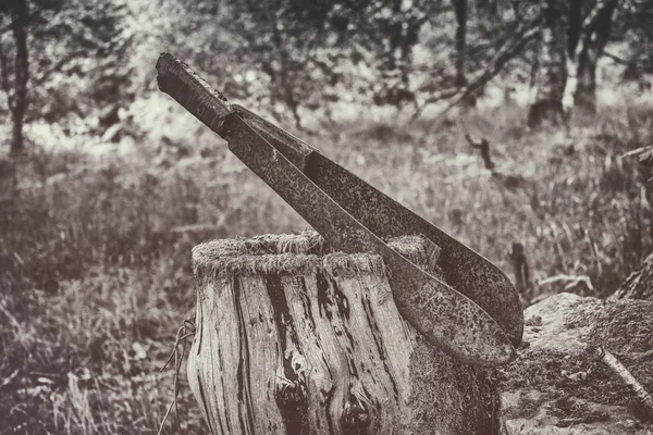 Bir ağaç kütüğü içinde iki pala bıçaklar