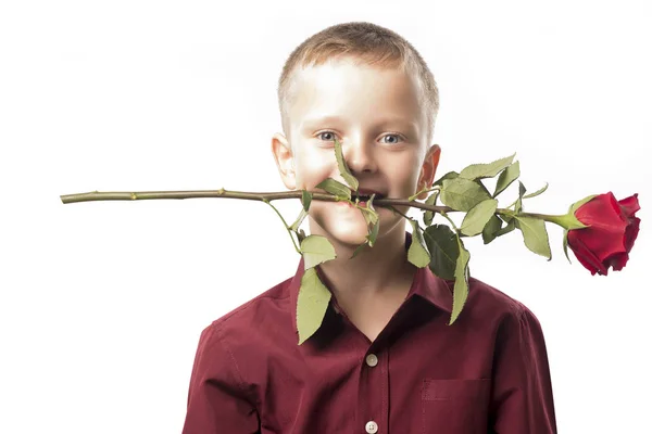 Niño con una rosa roja —  Fotos de Stock