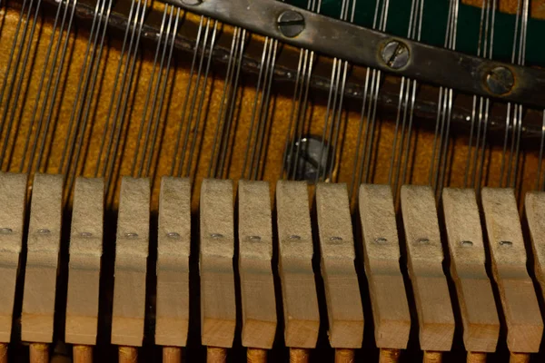 Piyano dizeleri ses ayarlama musi