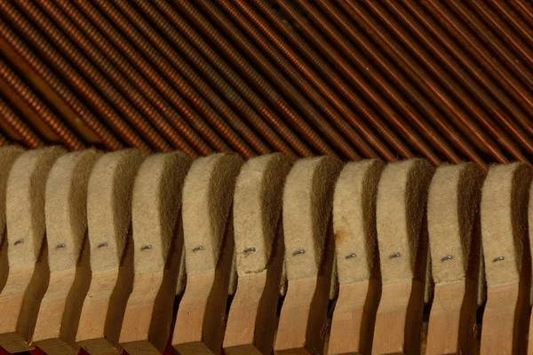 Cordas de piano som afinação musi — Fotografia de Stock