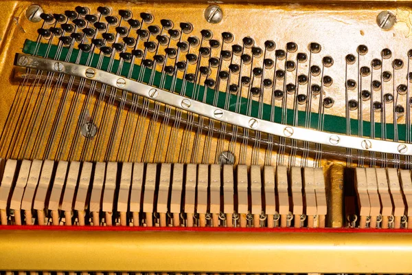 Piyano dizeleri ses ayarlama musi — Stok fotoğraf
