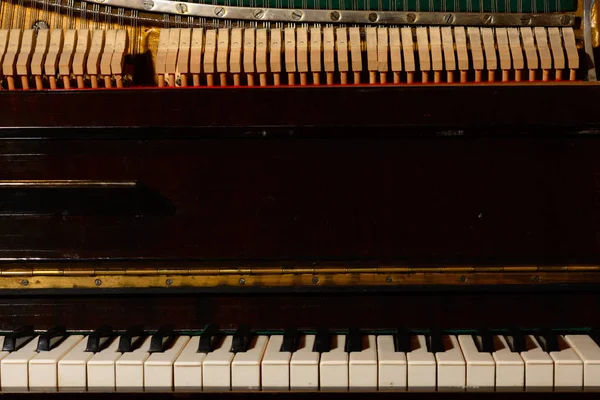 Cordes pour piano accordage sonore musi — Photo