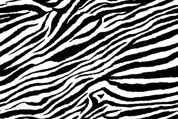 Zebra ve kaplan çizgileri için kusursuz duvar kâğıdı. Hayvan derisi desenli. Tekstil kumaş baskısı için siyah beyaz tasarım. Moda ve ev tasarımı uyuyor..