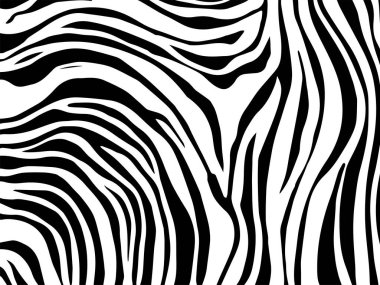 Zebra ve kaplan çizgileri için kusursuz duvar kâğıdı. Hayvan derisi desenli. Tekstil kumaş baskısı için siyah beyaz tasarım. Moda ve ev tasarımı uyuyor..