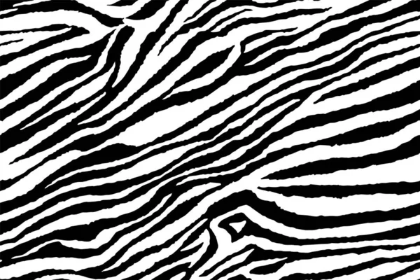 Zebra ve kaplan çizgileri için kusursuz duvar kâğıdı. Hayvan derisi desenli. Tekstil kumaş baskısı için siyah beyaz tasarım. Moda ve ev tasarımı uyuyor..
