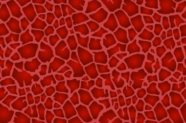 Kusursuz Zürafa Hayvan Derisi Şablonu. Elbise giysisi için çita kumaş baskı arka planı.