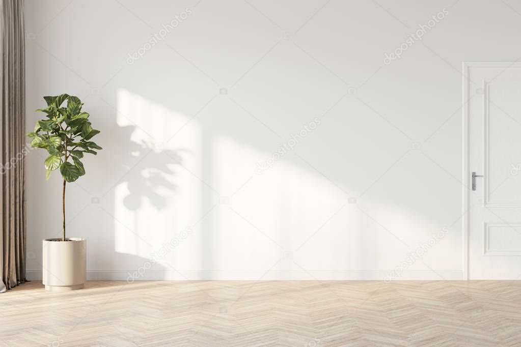 Plant against a white wall mock up. White wall mock up with brown curtain, plant and wood floor. 3D illustration.